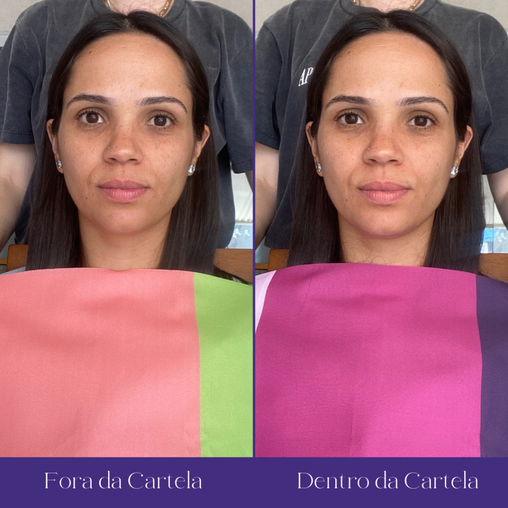 Análise de Coloração Pessoal - Priscila Domenes